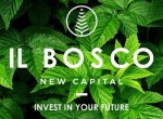Bosco-New